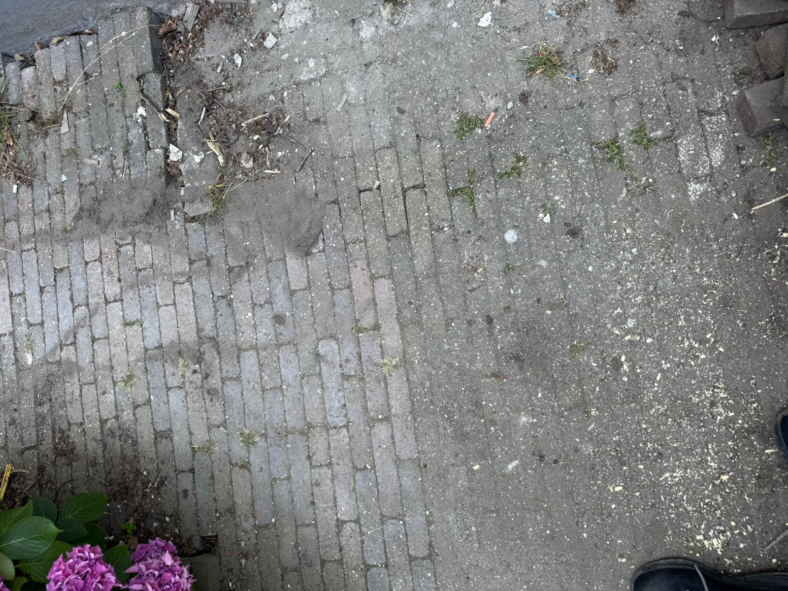 cadeaustenen met afmetingen 20x8x5, Tuin en Terras, Tegels en Klinkers, Gebruikt, Klinkers, Ophalen of Verzenden, 10 m² of meer