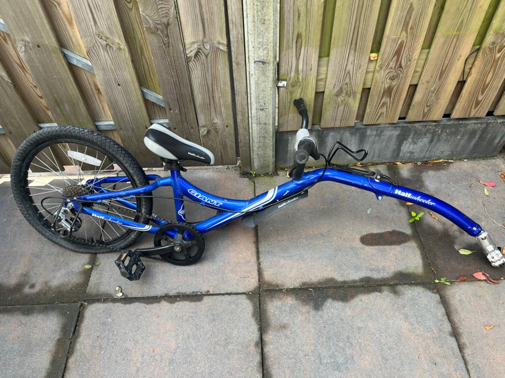 Giant Halfwheeler Aanhangfiets - Blauw, Fietsen en Brommers, Fietsaccessoires | Aanhangers en Karren, Ophalen, Zo goed als nieuw