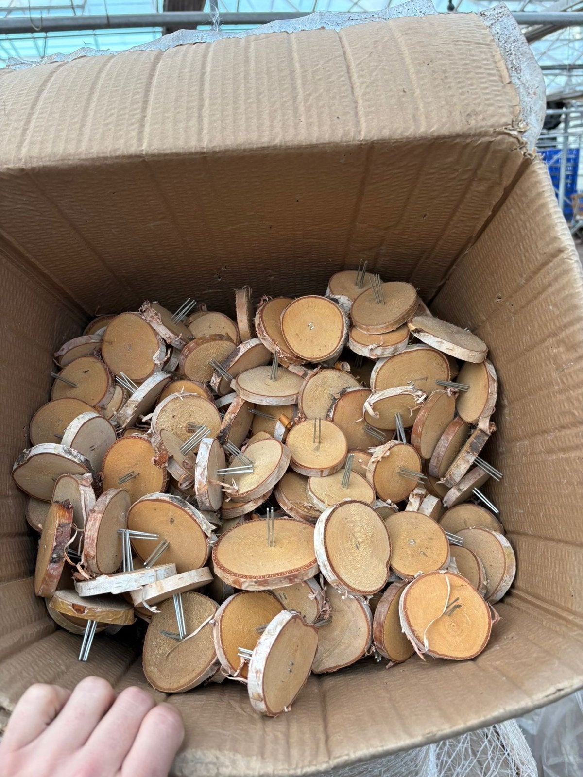 Houten berken schijfjes - Ø 5.5-7 cm - 400 stuks, Ophalen, Hout, /, /
