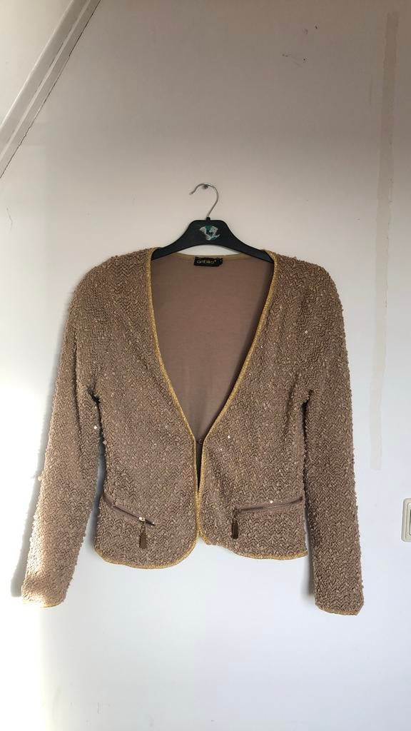 Ambika Jasje met pailletten - Maat S, Beige, Ophalen of Verzenden, Zo goed als nieuw, Jasje