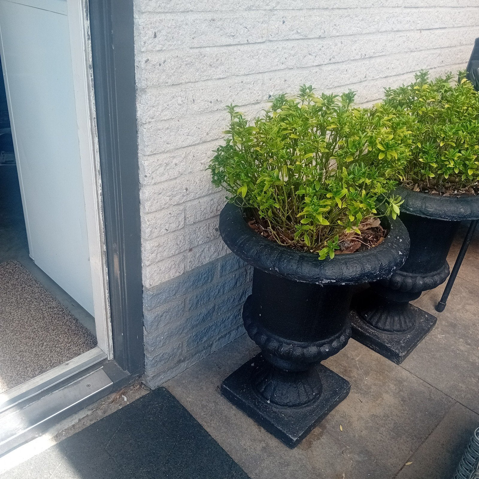 landelijke franse vaas/ pot incl plant 2x, Tuin en Terras, Bloembakken en Plantenbakken, Ophalen of Verzenden, Zo goed als nieuw