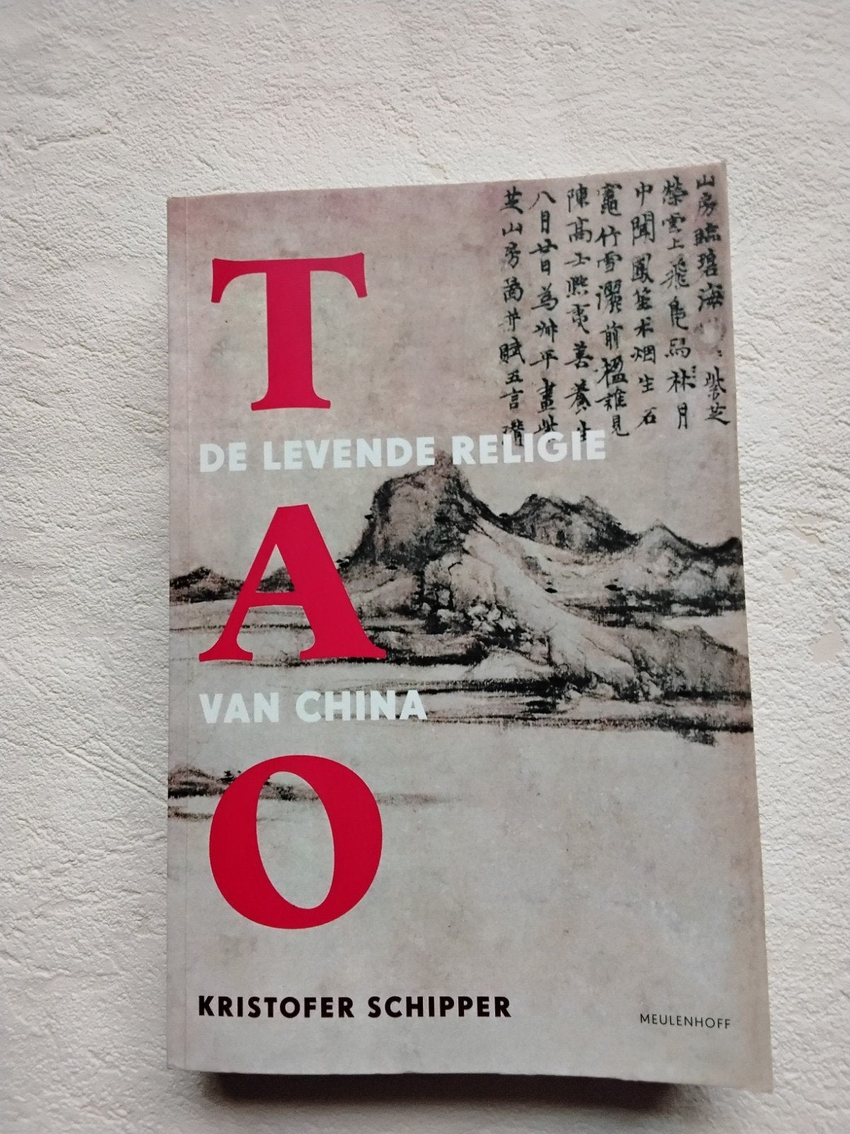 Tao: De Levende Religie van China - Kristofer Schipper, Boeken, Achtergrond en Informatie, Spiritualiteit algemeen, Ophalen of Verzenden