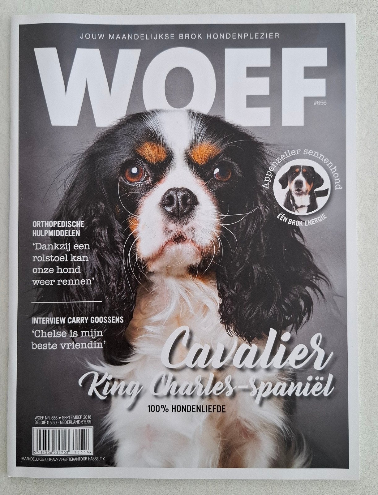WOEF magazine #656 - Cavalier King Charles Spaniël