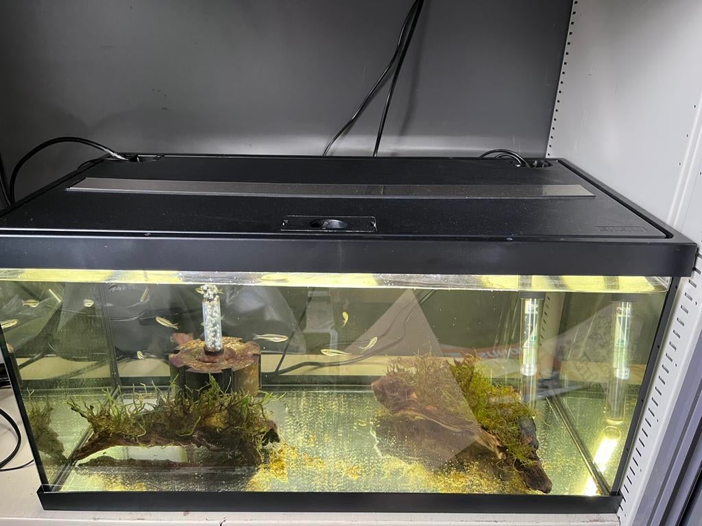 Eheim aquarium 60cm, Ophalen of Verzenden, Zo goed als nieuw, Leeg aquarium