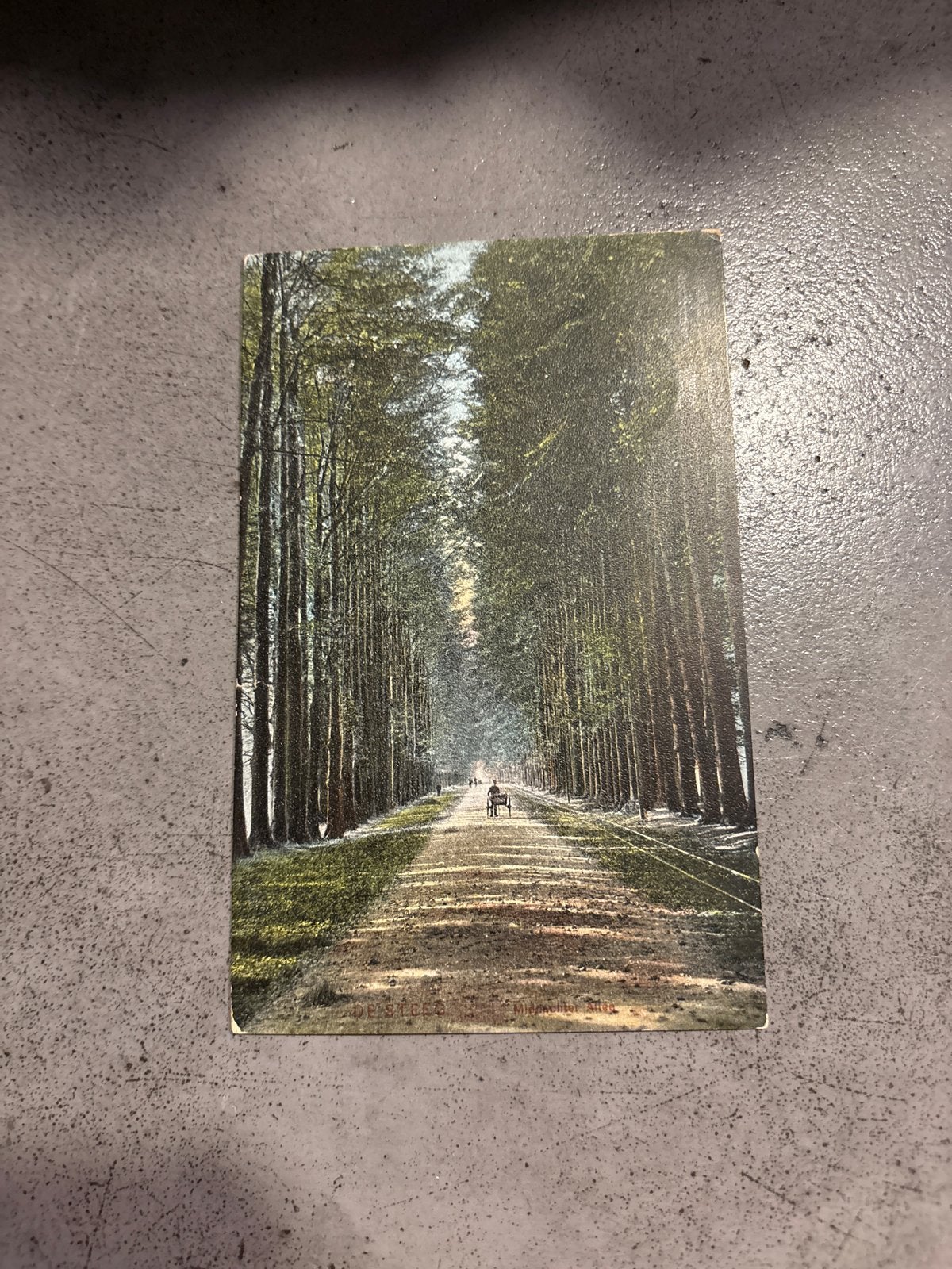 Ansichtkaart De Rijp Noord-Holland 1906 - Gelopen, Ophalen of Verzenden, Voor 1920, Gelopen, Gelderland