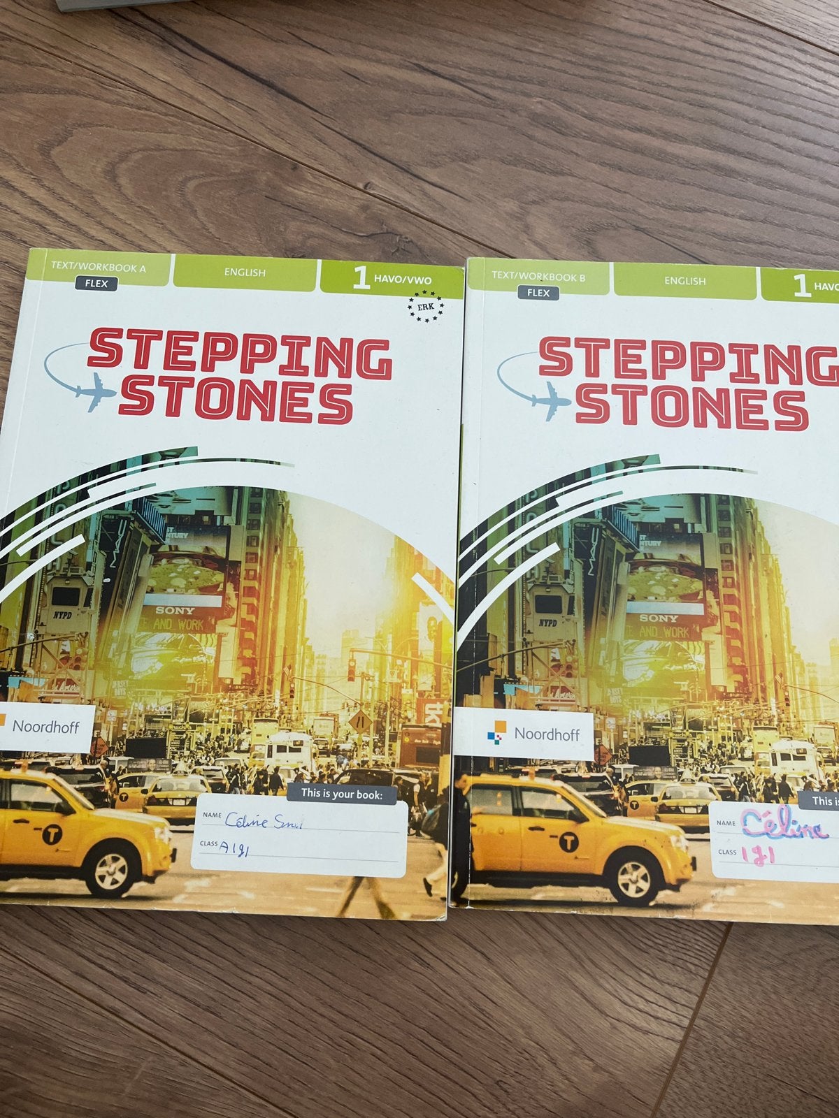 Stepping Stones Engels HAVO/VWO Leer- en Werkboek 1, Ophalen of Verzenden, Gelezen, HAVO, Engels