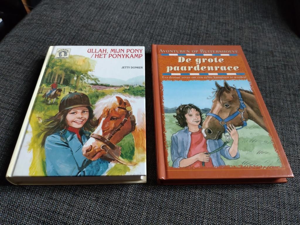 2 Paardenboeken, Ophalen of Verzenden, Zo goed als nieuw, Jetty Donker, Fictie algemeen