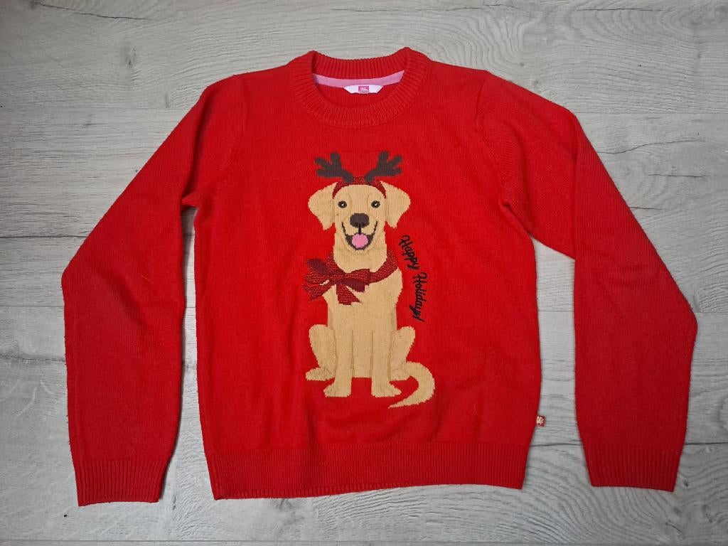 Kerst trui meisje maat 146 / 152, Kinderen en Baby's, Kinderkleding | Maat 146, Ophalen of Verzenden, Gebruikt, Meisje, Trui of Vest