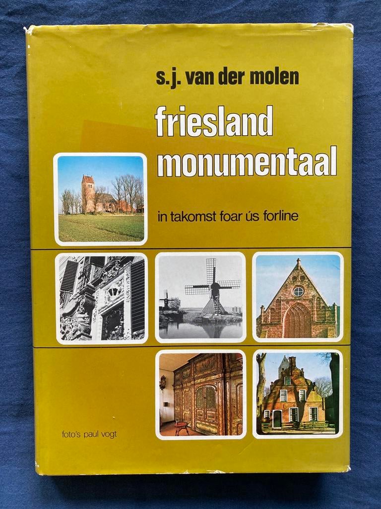 Friesland Monumentaal - harde kaft, Boeken, Geschiedenis | Stad en Regio, Ophalen of Verzenden, Gelezen, S.J. van der Molen