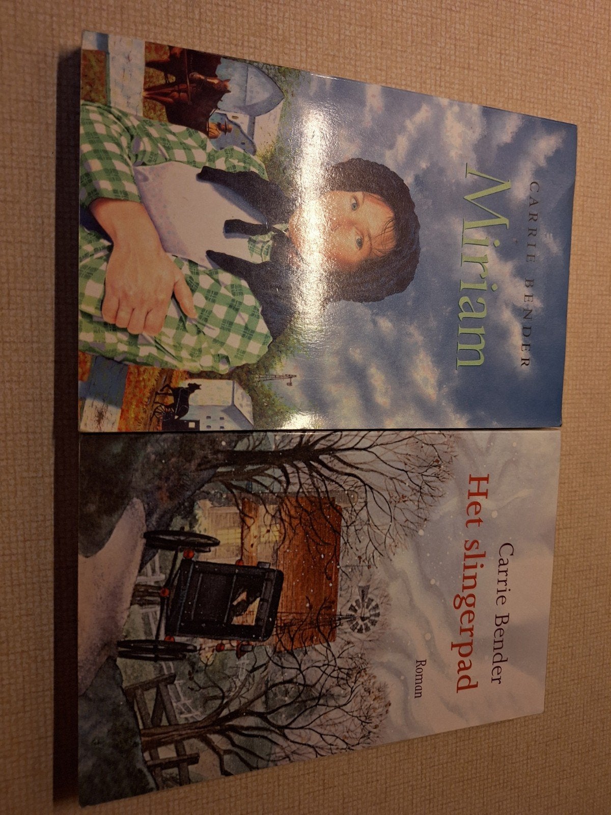 Carrie Bender - Miriam & Het slingerpad (2 boeken), Boeken, Romans, Ophalen of Verzenden, Zo goed als nieuw, Carrie Bender, Amerika