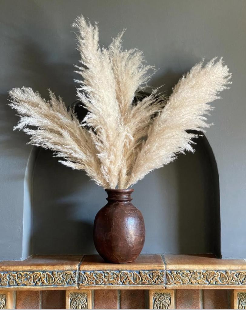 Fluffy beige pampas bos, Ophalen of Verzenden, Zo goed als nieuw