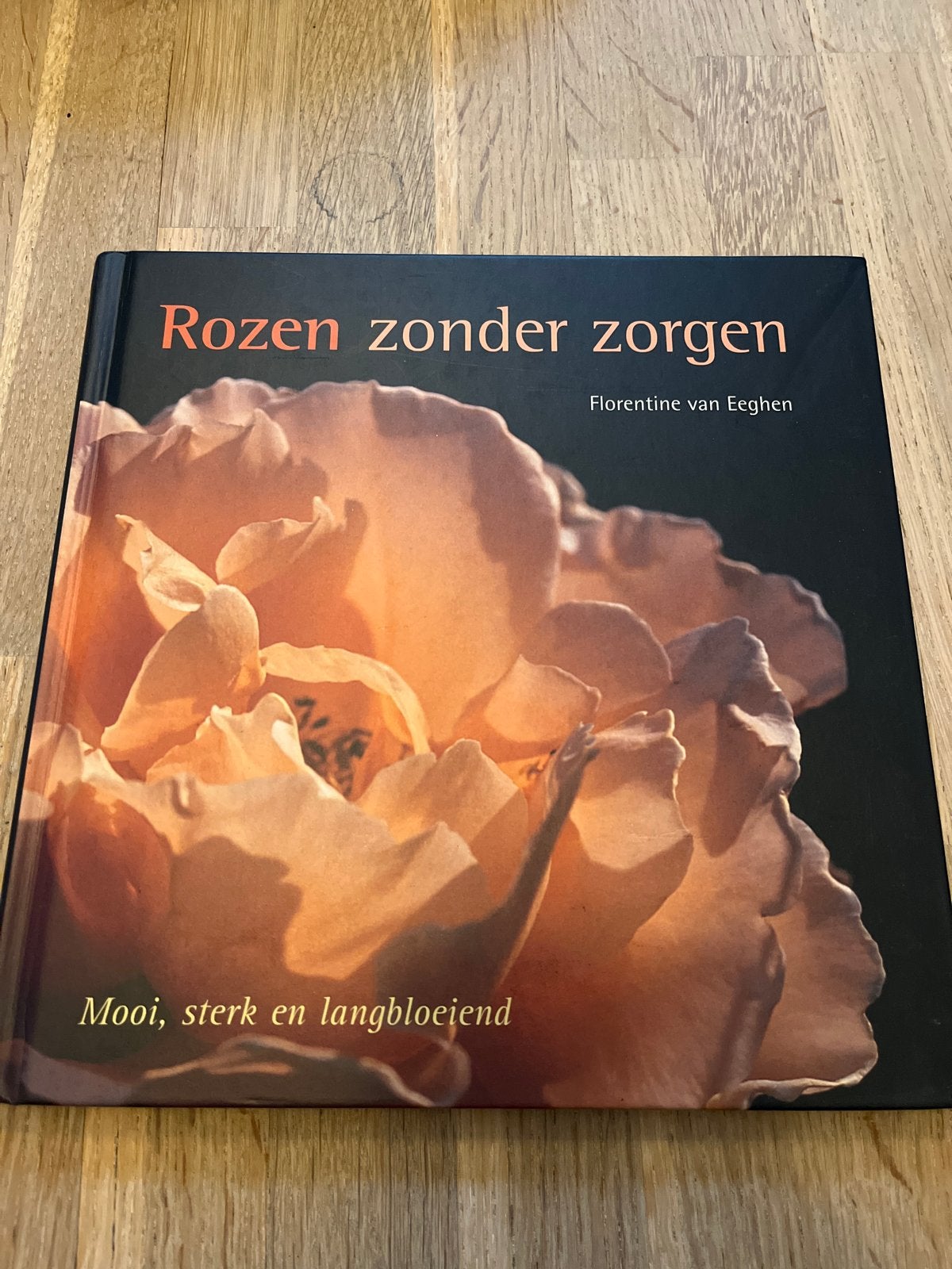 Rozen zonder zorgen - Florentine van Eeghen, Ophalen of Verzenden, Zo goed als nieuw, Tuinieren en Tuinplanten