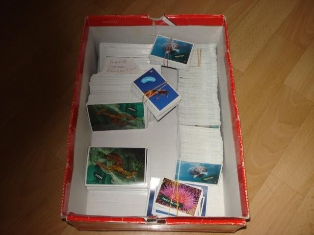 OCEAAN PLAATJES/ STICKERS ( GRATIS ) AH, ZIE TEKST, Albert Heijn, Ophalen of Verzenden