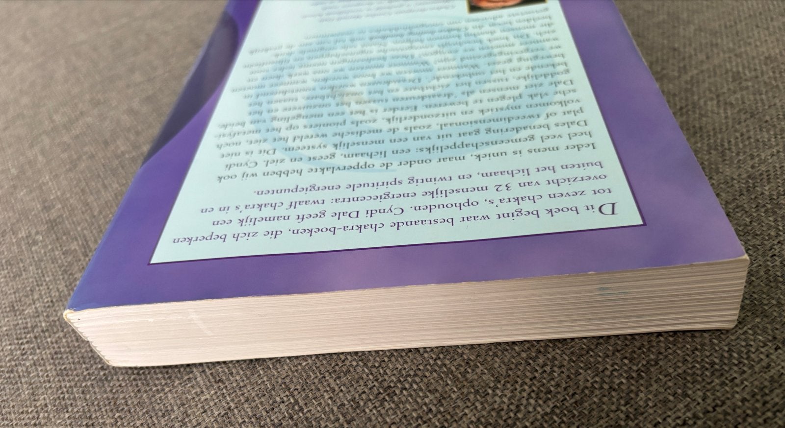 Chakra-healing handboek: De 32 energiecentra in kaart gebrac, Boeken, Ophalen of Verzenden, Zo goed als nieuw, Spiritualiteit algemeen