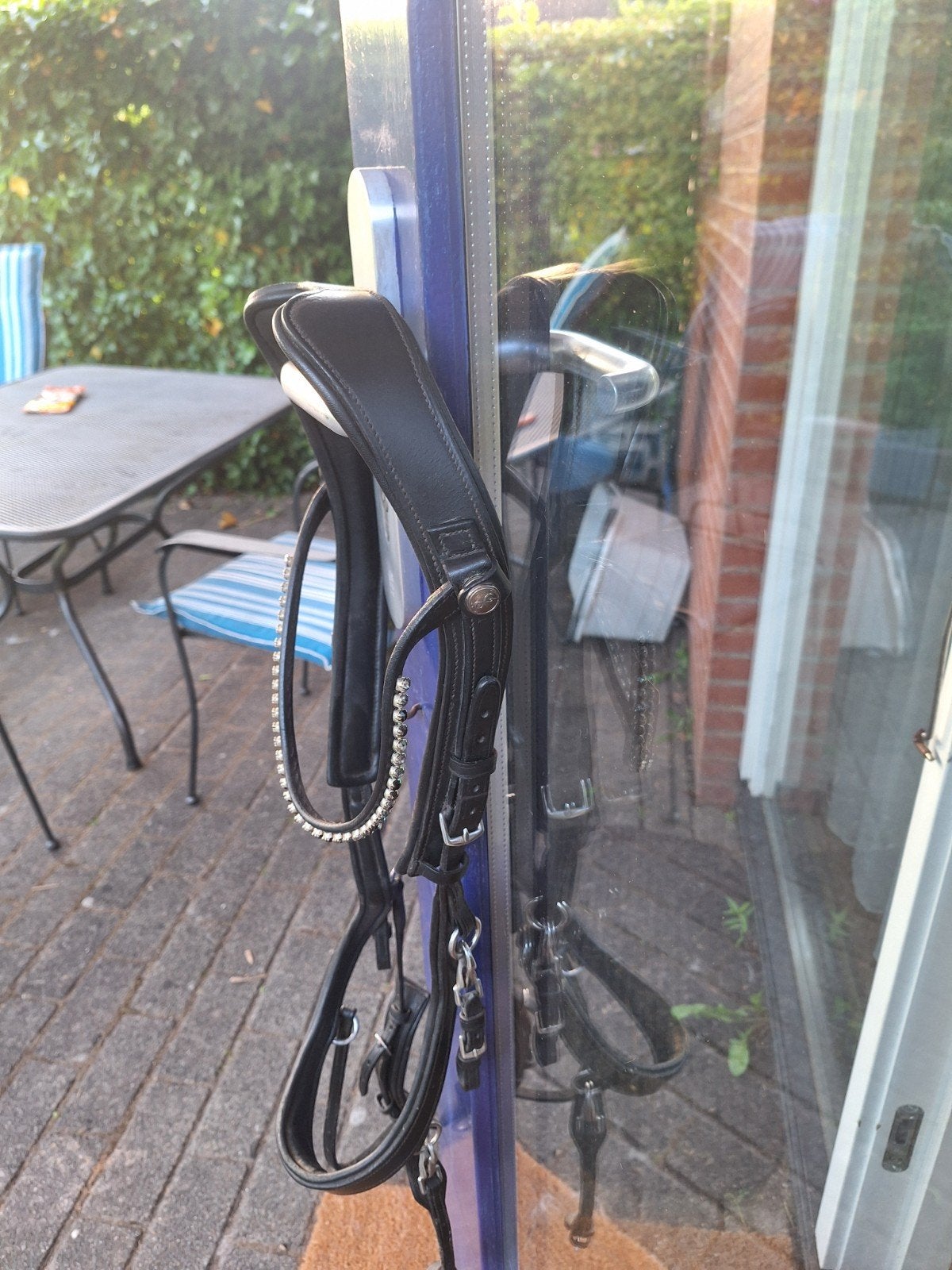 Presteq hoofdstel, Ophalen, Gebruikt, Dressuur