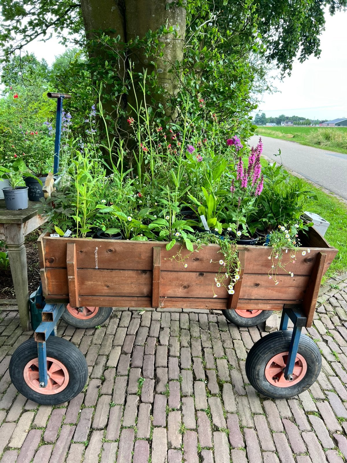 Plantenkar met vaste planten, Caravans en Kamperen, Bolderkarren, Zo goed als nieuw, Ophalen