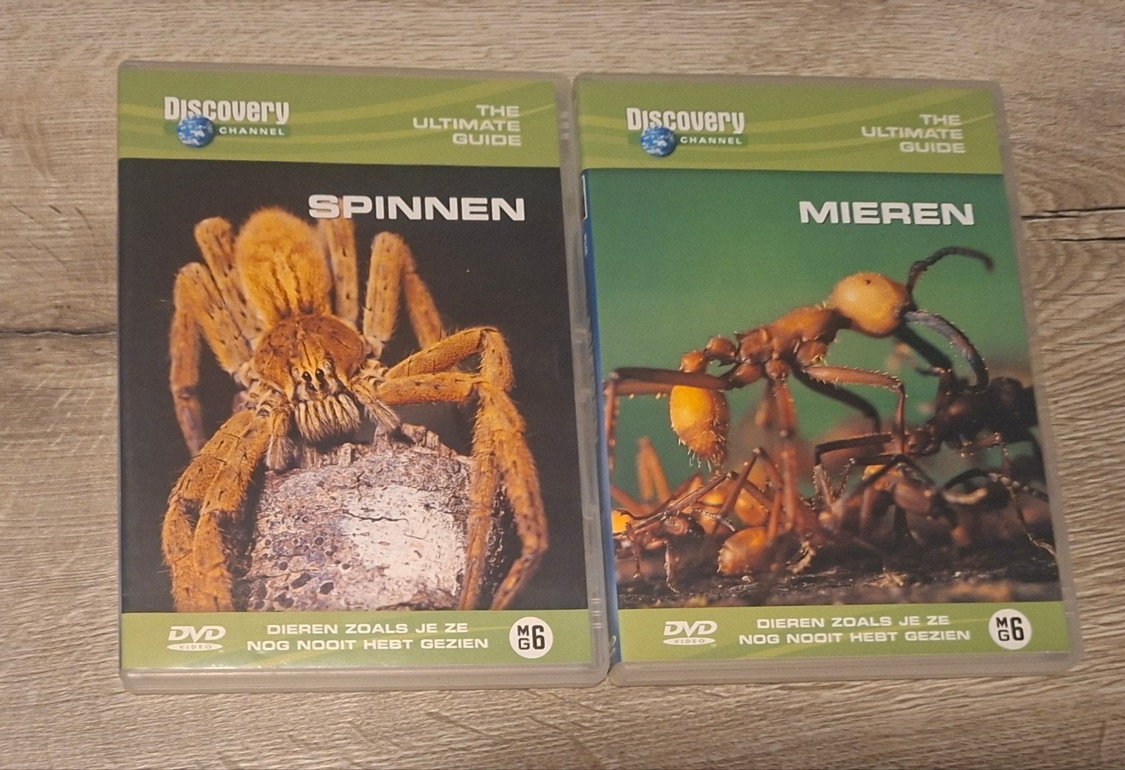 Bundel SPINNEN en MIEREN, Alle leeftijden, Ophalen
