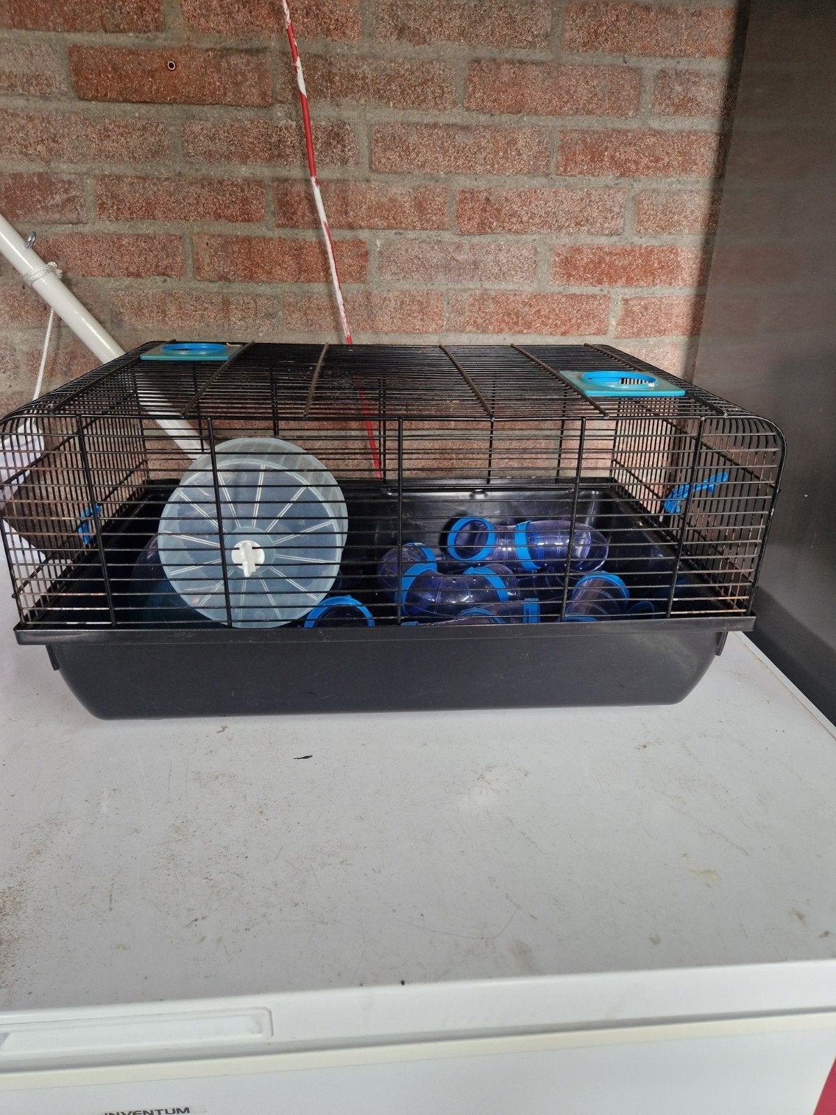 hamster verblijf, Dieren en Toebehoren, Minder dan 75 cm, Ophalen, Minder dan 60 cm, Hok