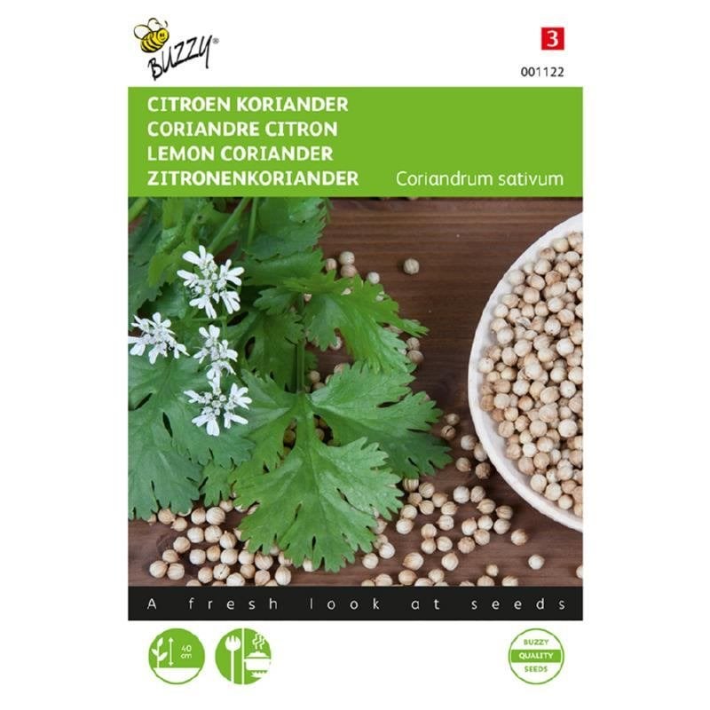 Buzzy Seeds Koriander Citroen laag kruidenzaden - nieuw, Ophalen of Verzenden, Voorjaar, Volle zon, Zaad