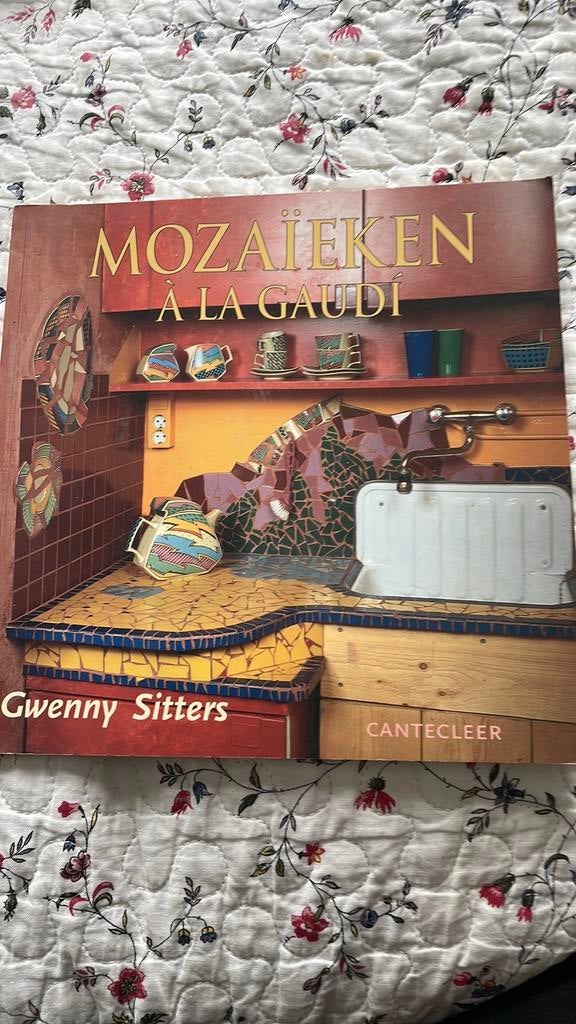 Mozaieken a la Gaudi, Ophalen of Verzenden, Zo goed als nieuw, Breien en Haken
