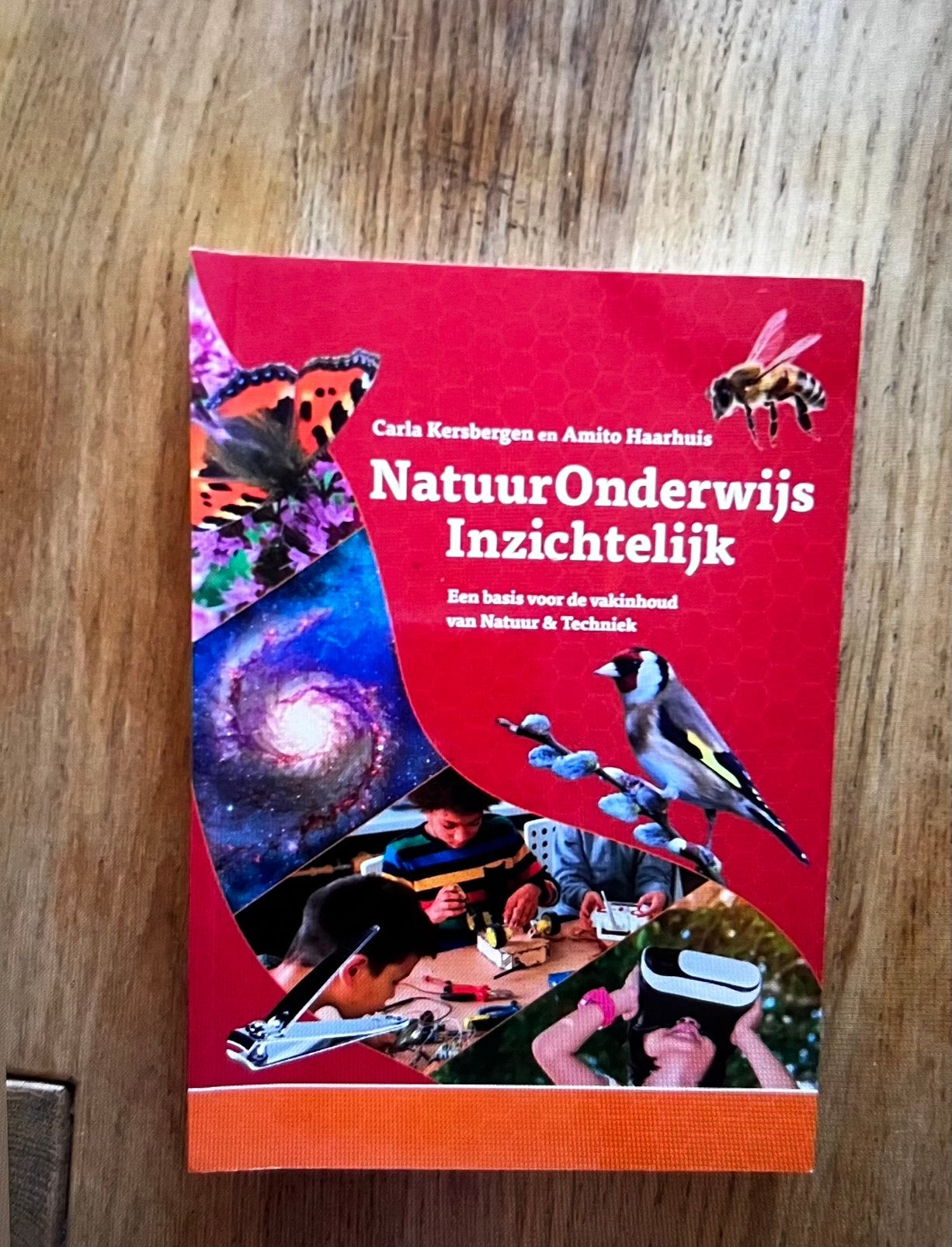 Natuuronderwijs Inzichtelijk - Carla Kersbergen & Amito Haar, Boeken, Ophalen of Verzenden, Beta, Nieuw, HBO