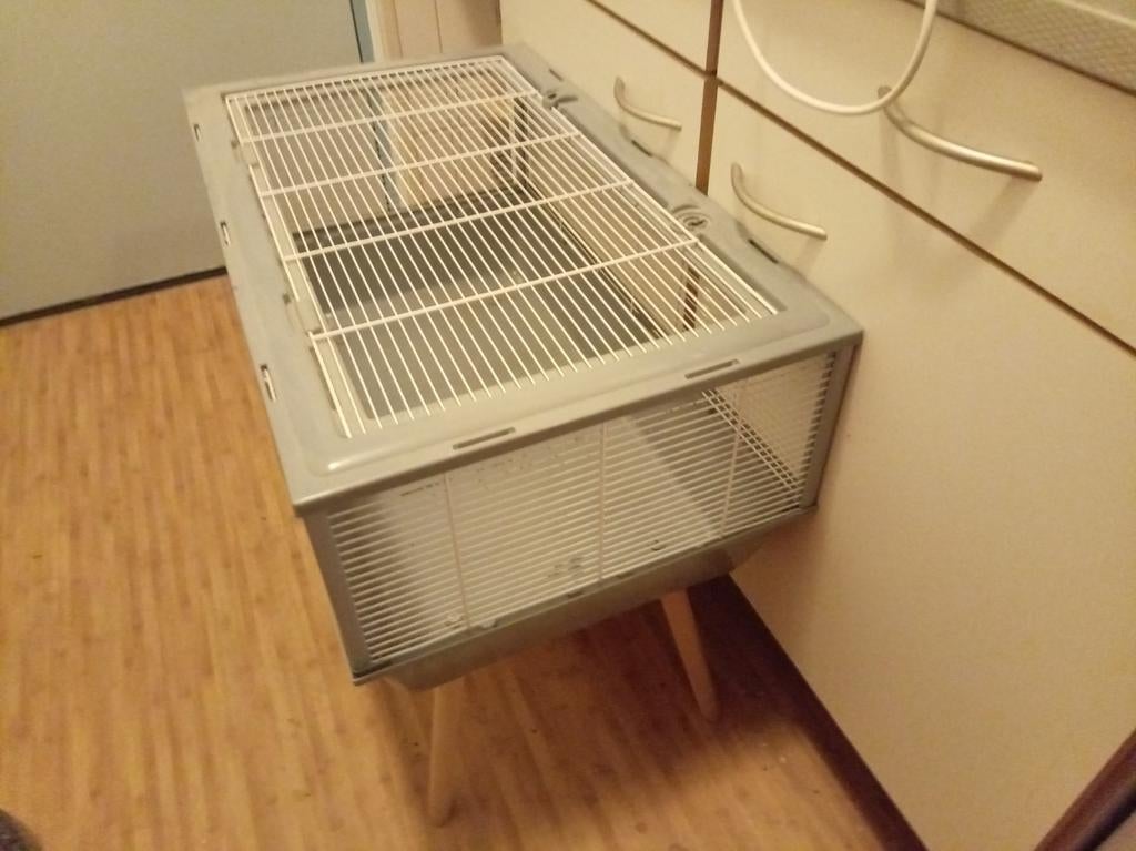Knaagdier hok, Ophalen, Hok, Minder dan 60 cm