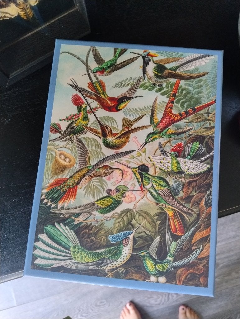 Puzzel Teylers Museum/Art of Nature, Ophalen of Verzenden, 500 t/m 1500 stukjes, Zo goed als nieuw, Legpuzzel