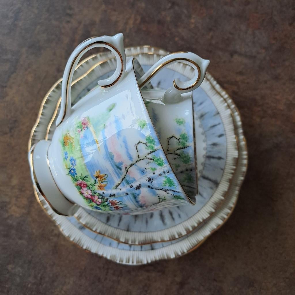 Royal Albert set kop en schotel Silver Birch, Ophalen, Zo goed als nieuw, Porselein, Kop en/of schotel
