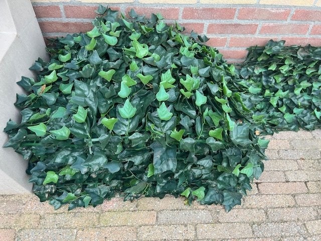 Kunsthaag op matjes van 50cm plus minus 10m2, Ophalen, Gebruikt
