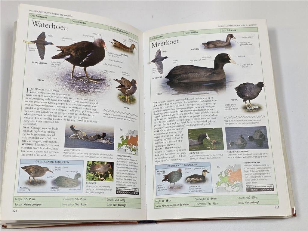 Vogels van Europa — Capitool Veldgids, Naslagwerk, Ophalen of Verzenden, Gelezen, Vogels