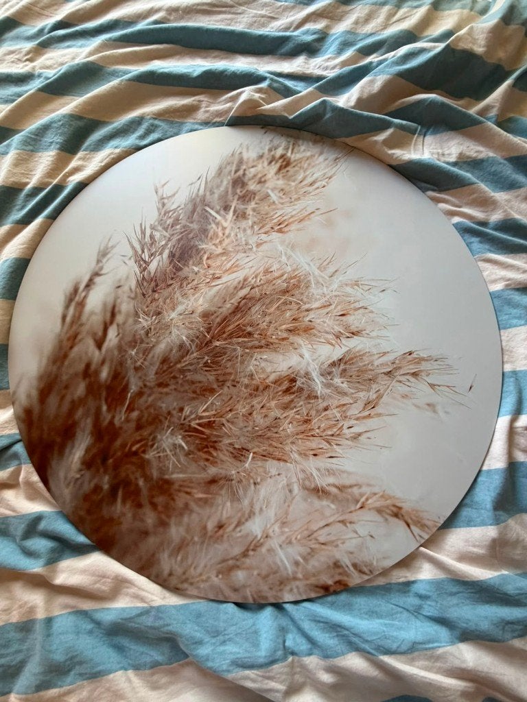 Te Koop: Muurcirkel Pampasgras, Ophalen, Metaal, 80 cm, Meerkleurig