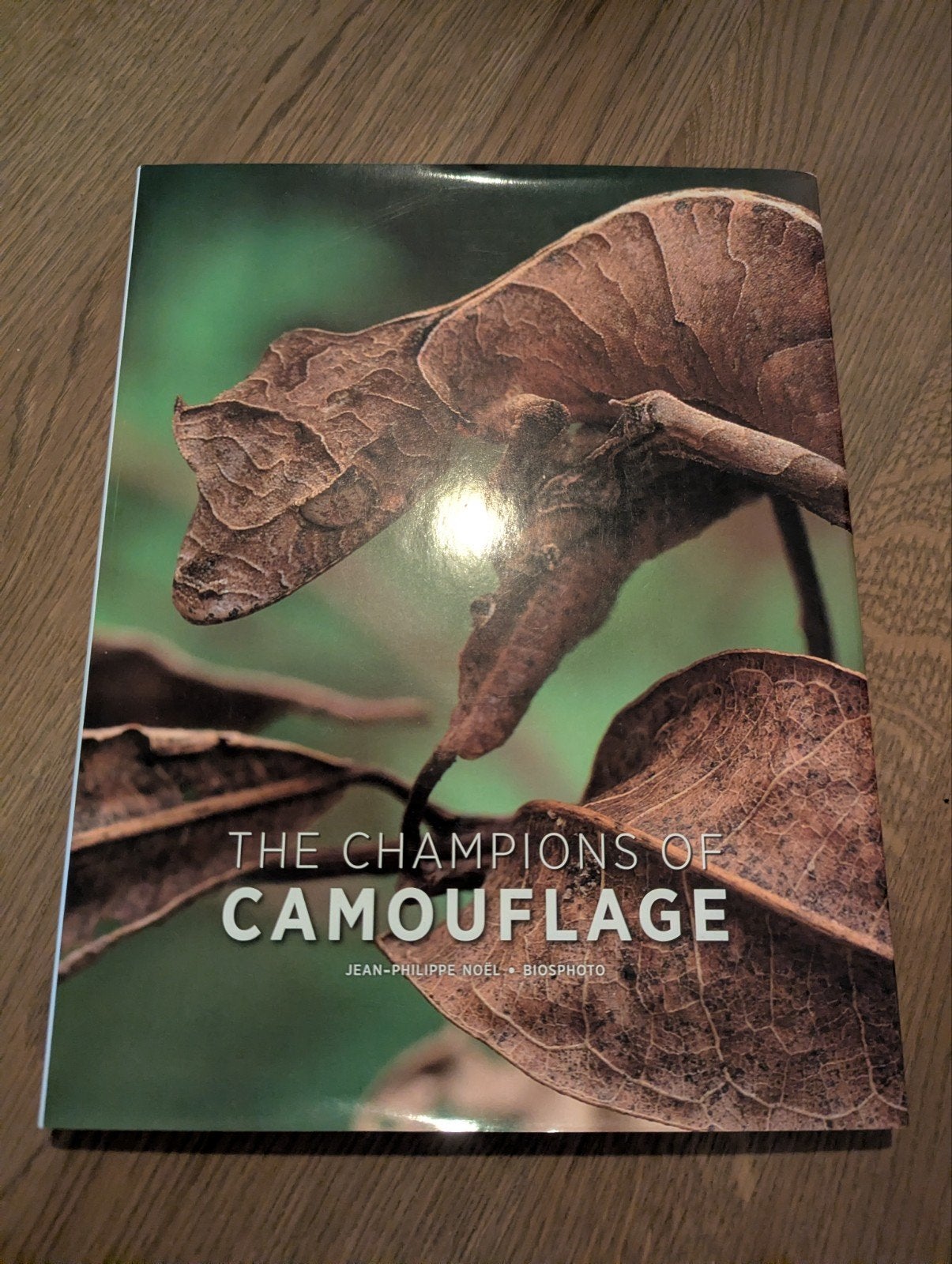 The Champions of Camouflage - Jean-Philippe Noel, Boeken, Ophalen of Verzenden, Zo goed als nieuw, Natuur algemeen, Jean-Philippe Noel