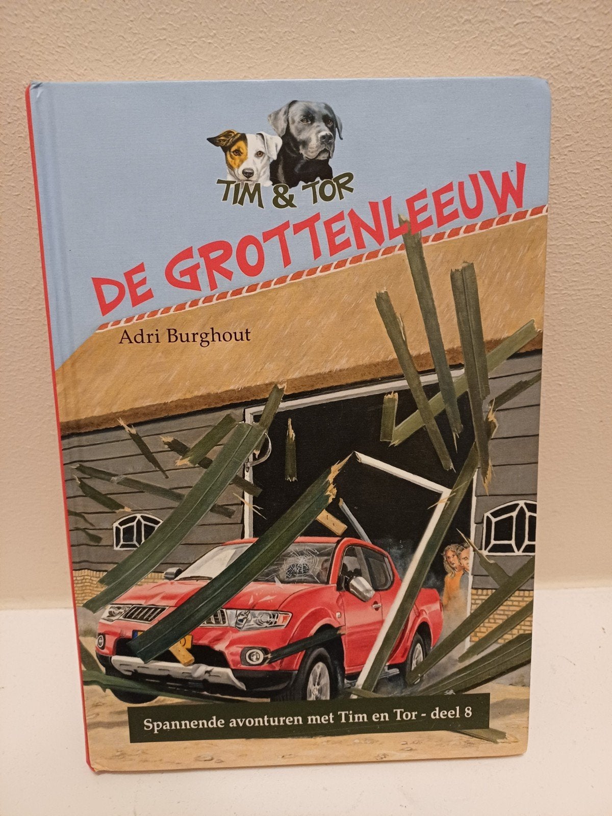 Adri Burghout. Tim&Tor de grottenleeuw, Boeken, Ophalen of Verzenden, Zo goed als nieuw