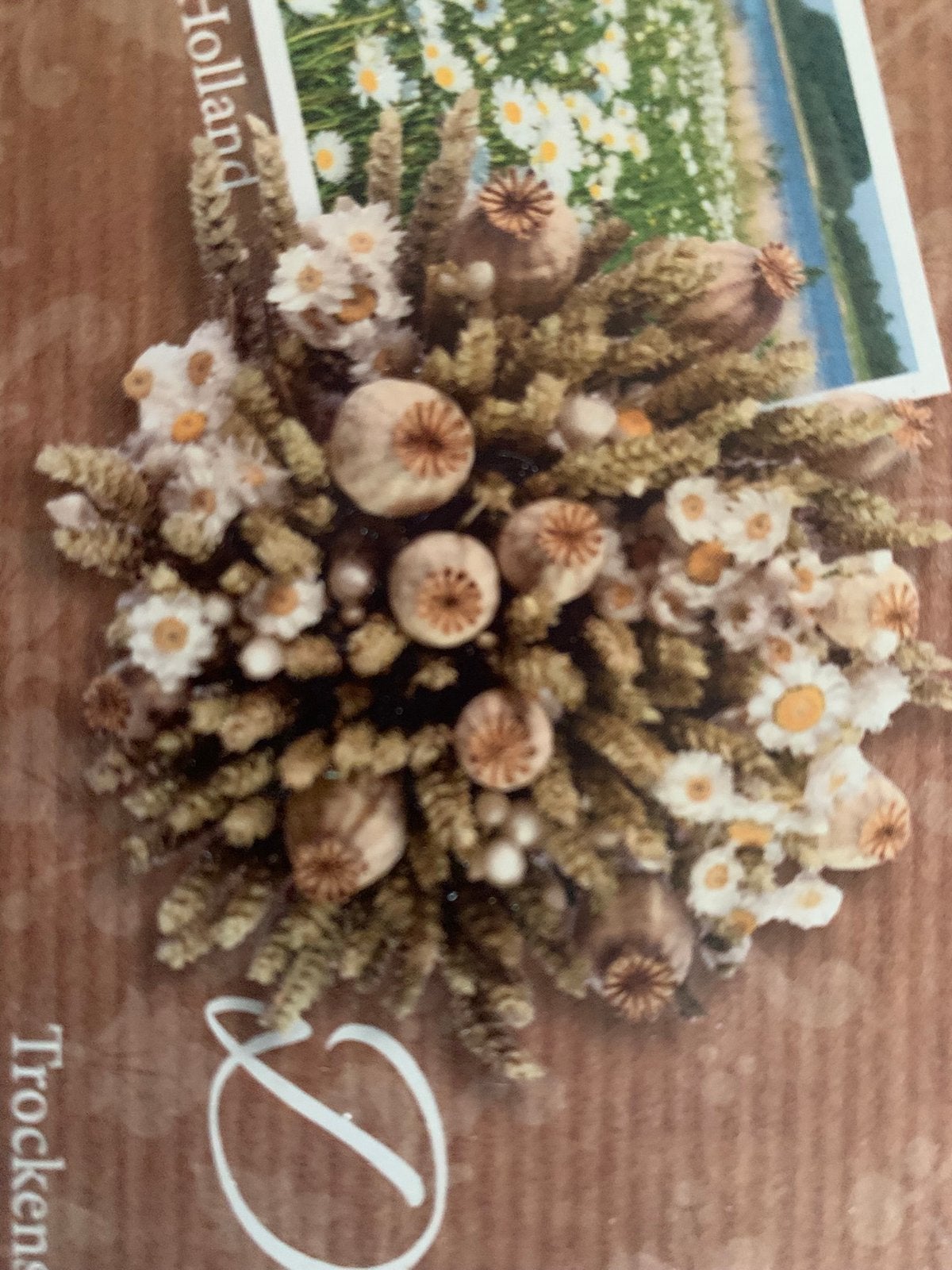 DIY Droogbloemen Boeket - My Home Holland, Ophalen of Verzenden, Nieuw