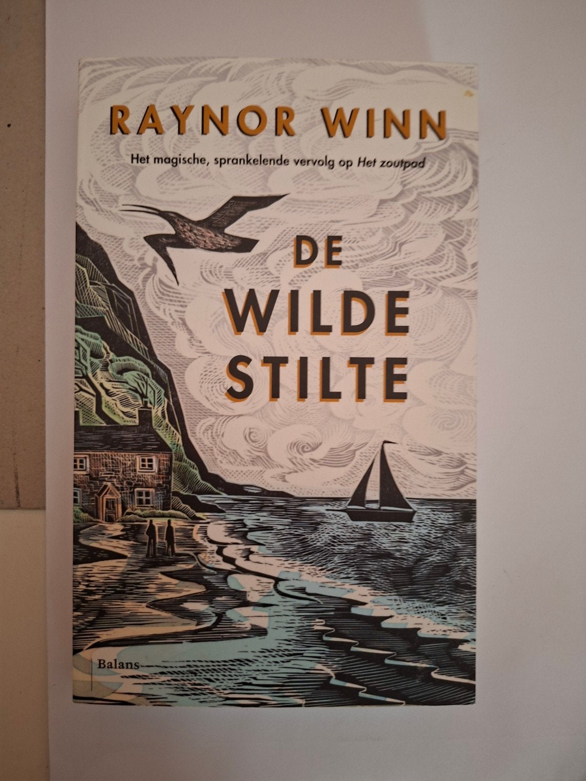 Raynor Winn - De wilde stilte, Verzenden, Zo goed als nieuw, Natuur algemeen, Raynor Winn