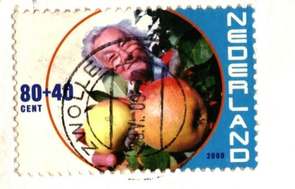 988459 Ameland 80+ Zeis Haren met mooie zegel Appels plukken, Ophalen of Verzenden, 1980 tot heden, Gelopen, Waddeneilanden