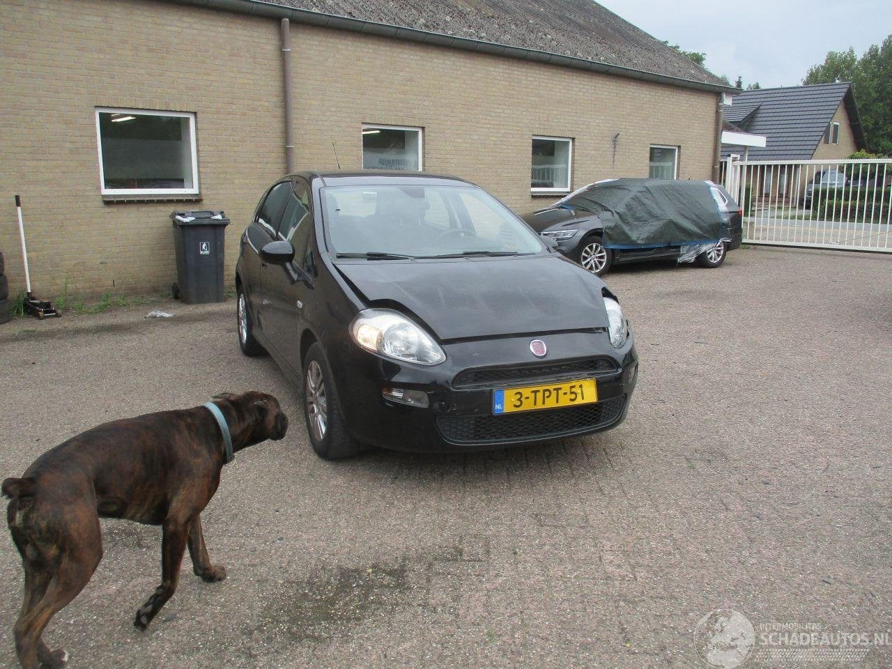 Fiat Punto Evo 0.9 TwinAir Street NAP (bj 2014), Webaccessibility@stellantis.com, Zwart, Handgeschakeld, Taurusavenue 1 ,2132 LS, Hoofddorp, Nederland