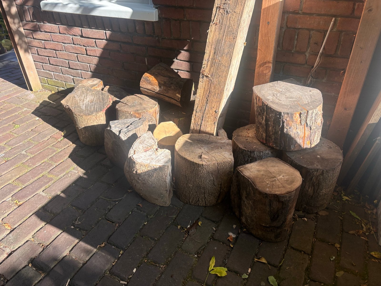 Diverse houtblokken voor brandhout (15 stuks), Minder dan 3 m³, Ophalen, Overige houtsoorten, Blokken