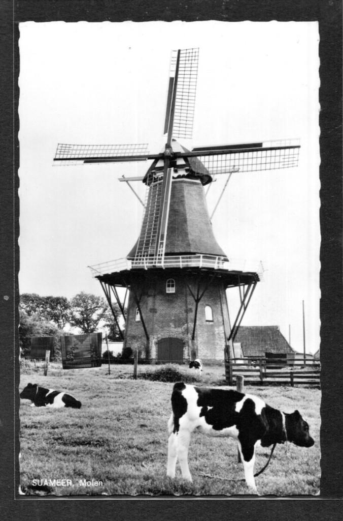 molen; Korenmolen De Hoop te Suameer., Verzamelen, Verzenden, 1960 tot 1980, Ongelopen, Friesland