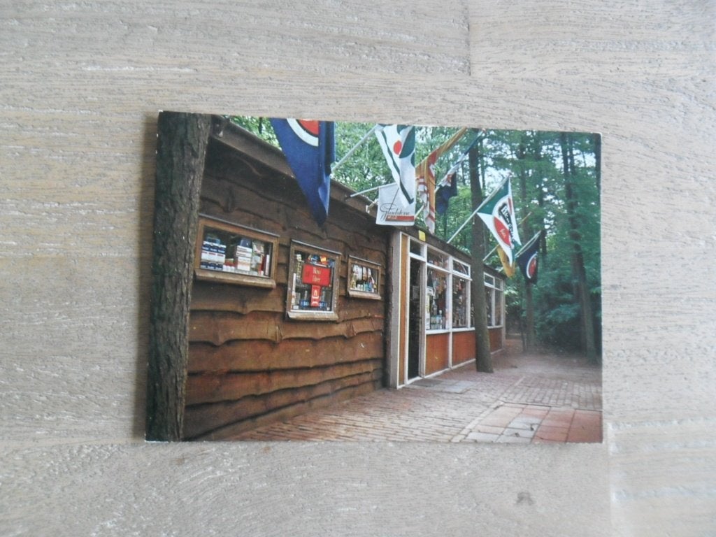 Bosschenhoofd camping de Wildert, Verzenden, 1980 tot heden, Ongelopen, Noord-Brabant
