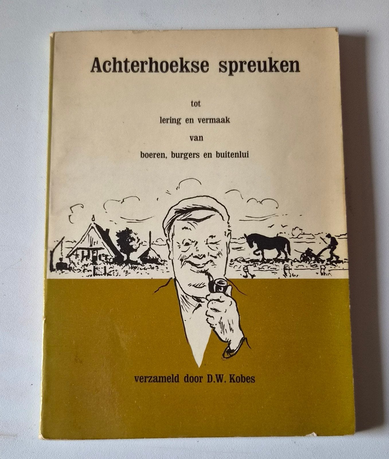 Oud boek met 'Woord vooraf' - D.W. Kobes, Ophalen of Verzenden, Gelezen, D.W. Kobes