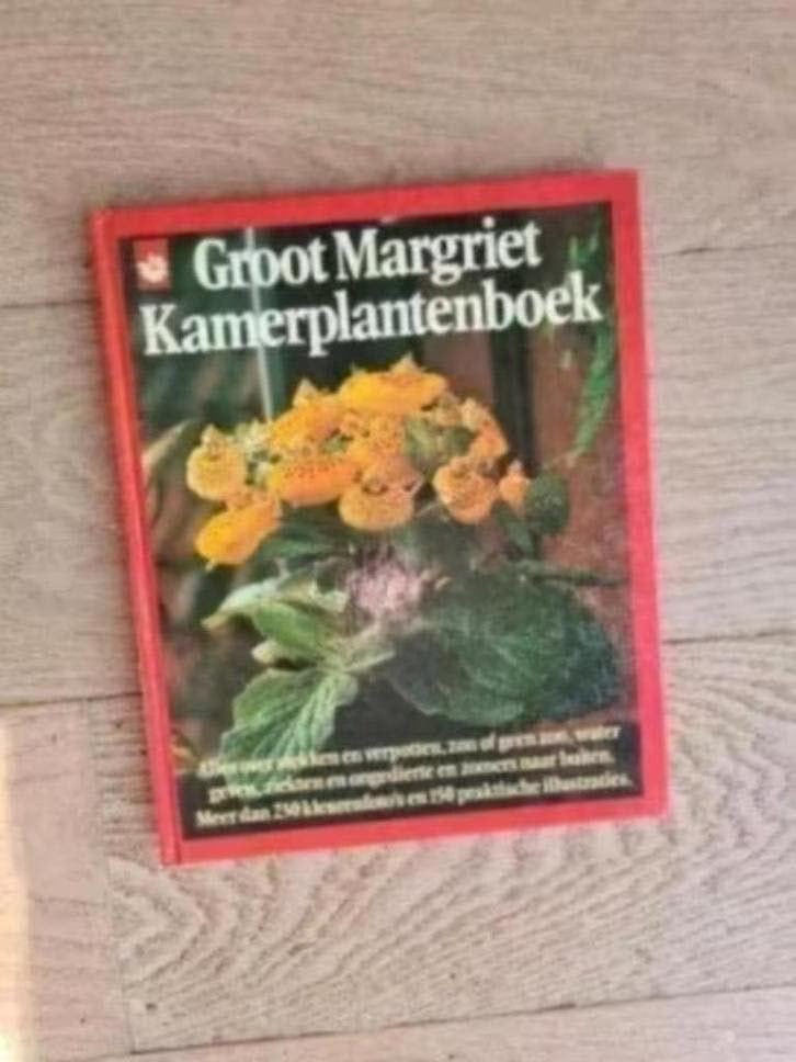 Kamerplantenboek, Ophalen of Verzenden, Zo goed als nieuw, Kamerplanten