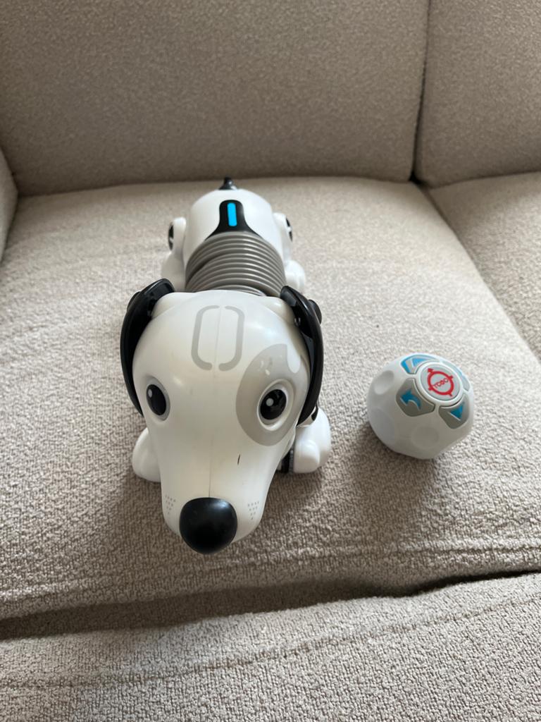 Robo hond, Ophalen of Verzenden