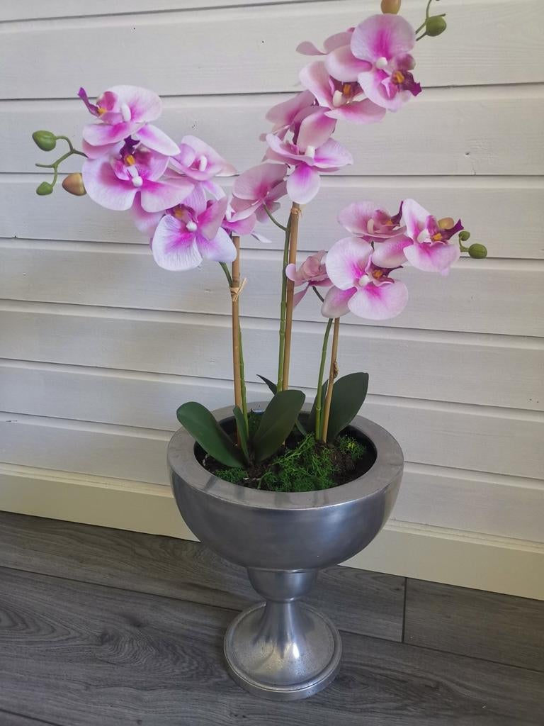 Mooie bloempot met orchideeën ️, Ophalen, Zo goed als nieuw
