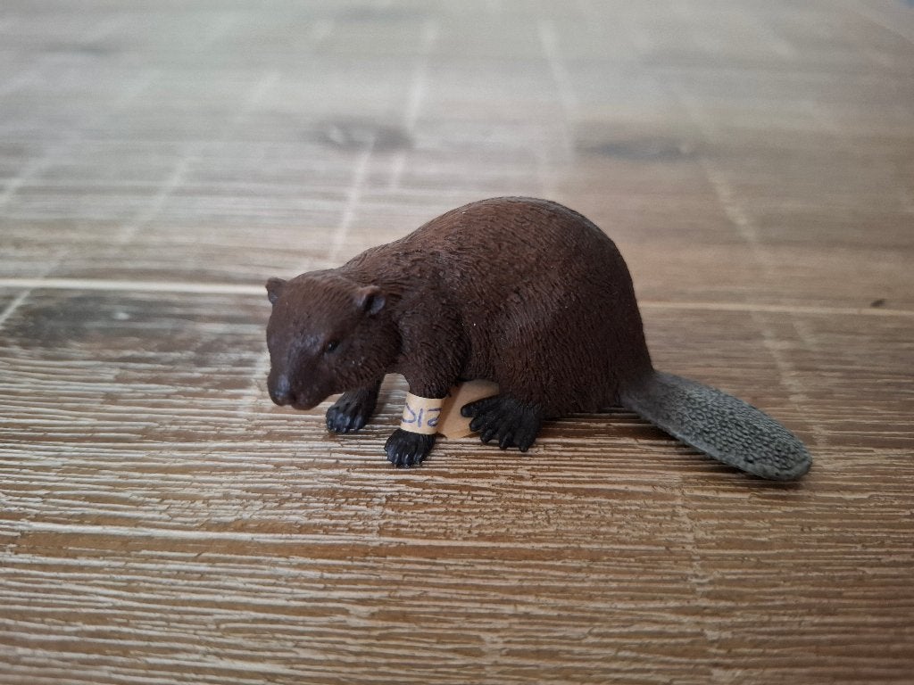 Schleich 14693 Wild Life Bever uit 2012, Verzamelen, Speelgoed, Ophalen of Verzenden, Zo goed als nieuw