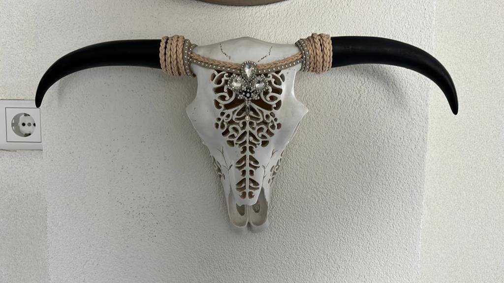 Mooie skull gewei hoofd voor aan de muur, Ophalen, Gebruikt, Overige typen