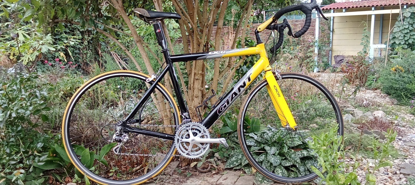 Giant OCR Campagnolo Mirage racefiets 3x9, Ophalen, 28 inch, Gebruikt, Velgrem