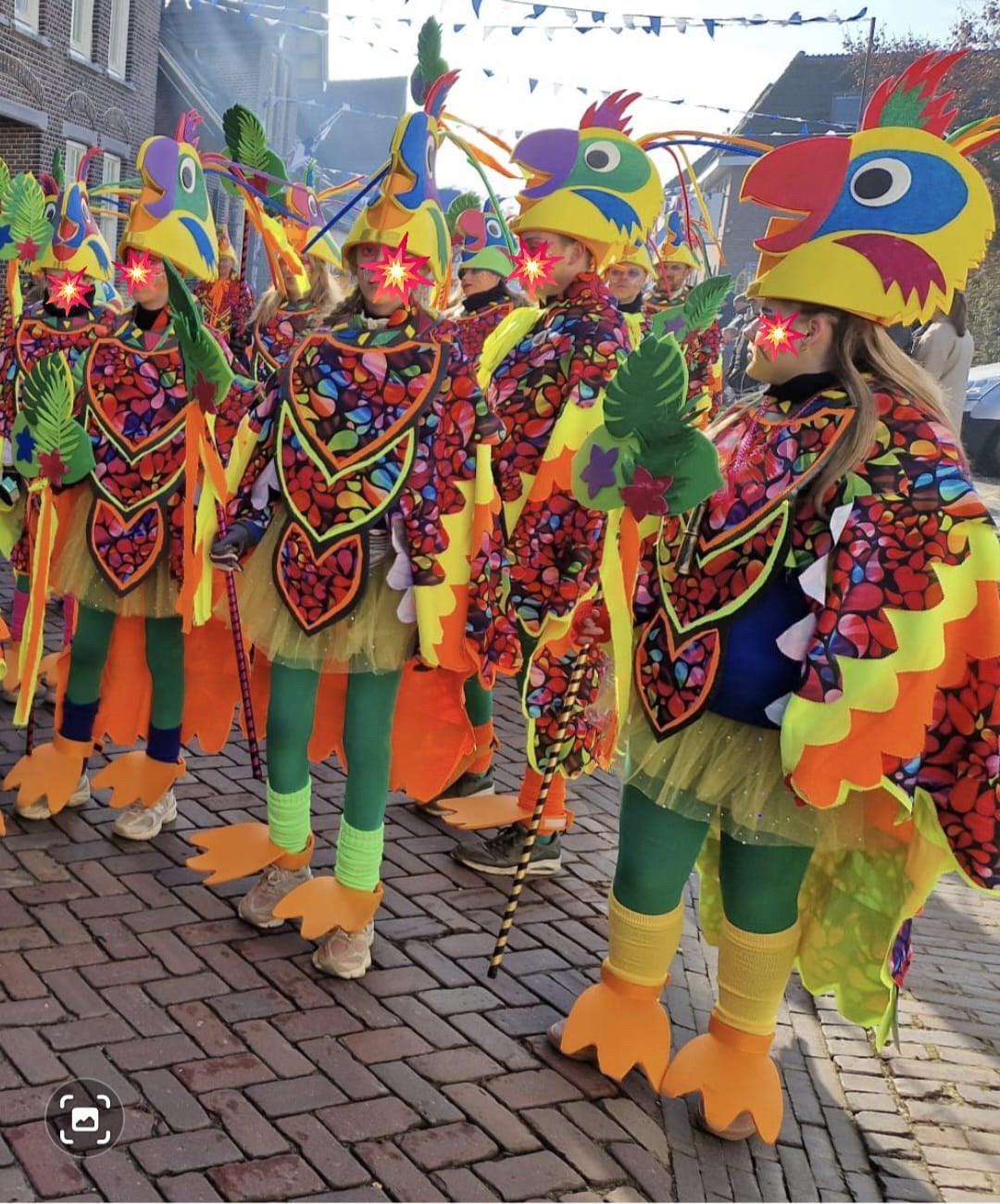 Prachtige kleurrijke loopgroep thema vogels voor de carnaval, Ophalen, Gedragen, Carnaval, Kleding