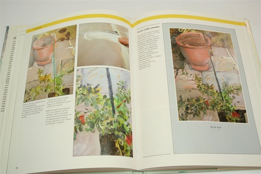 Olieverf Schilderen — Techniek & Projecten Handboek, Ophalen of Verzenden, Gelezen, Porsche
