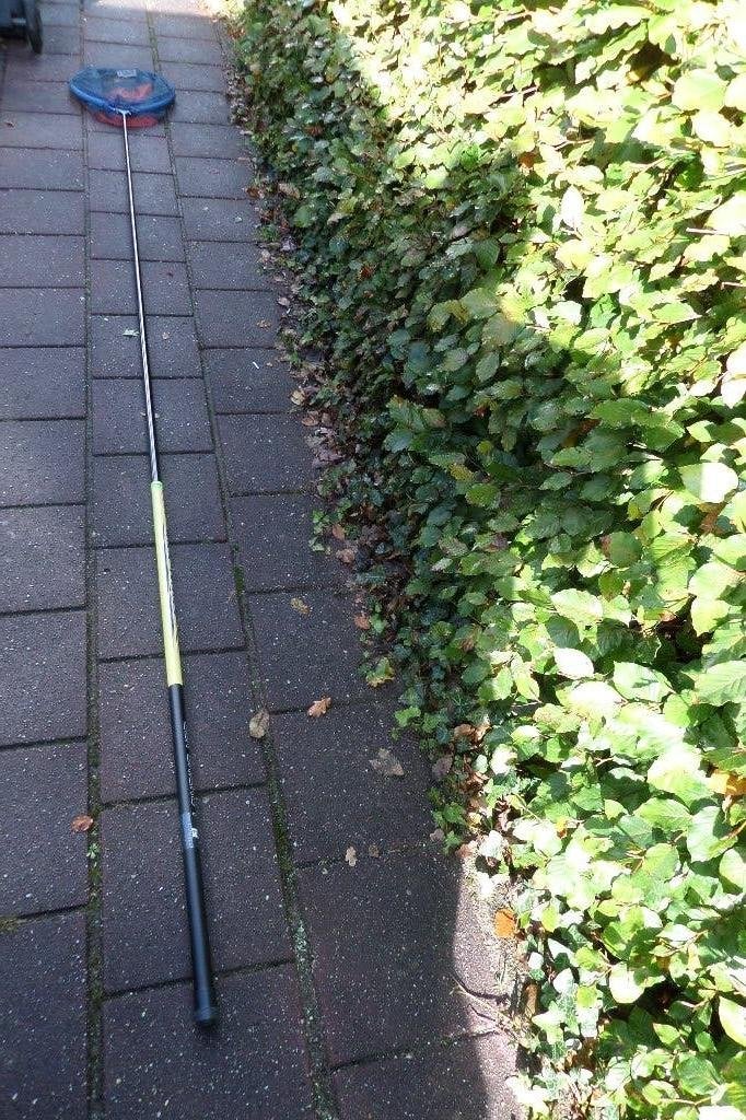 Landingsnet met telescoopsteel van 3 meter - €50,=, Ophalen, Nieuw, Net of Fuik